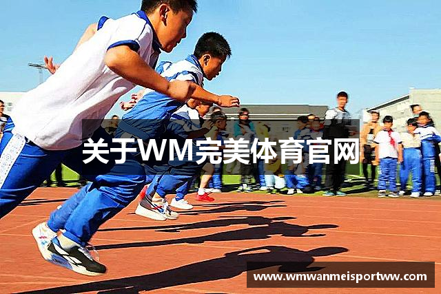 完美·体育(中国)官方网站-WM SPORTS